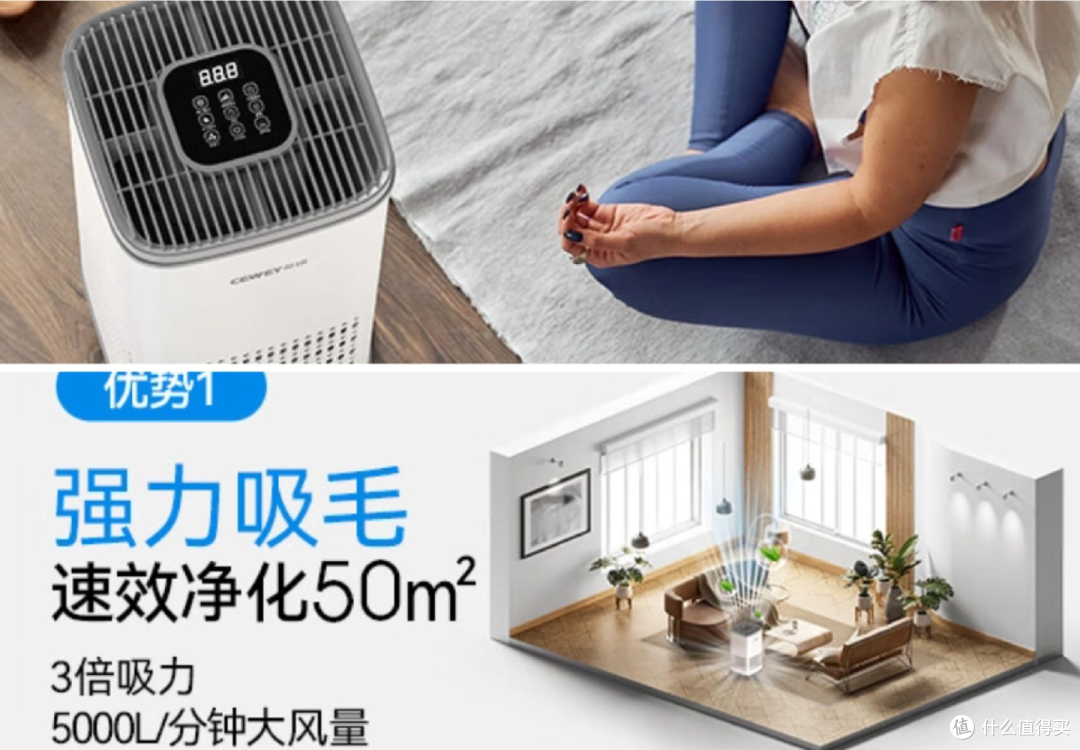 2026 年宠物空气净化器选购参考|热门宠物空气净化器精选推荐