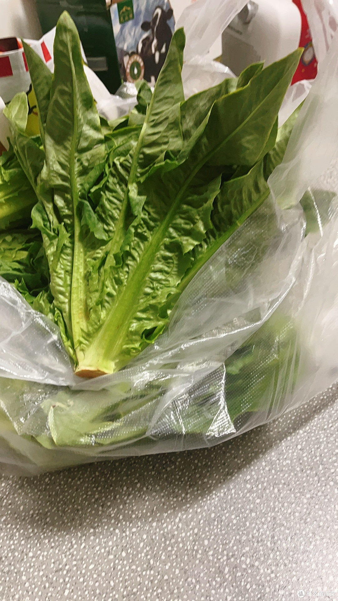 如何挑选蔬菜：解锁健康饮食的第一步