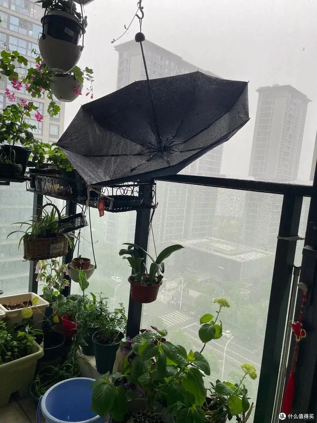 有一种痛苦叫阳台做了“开放式设计”!入住一年,全是生活痛点