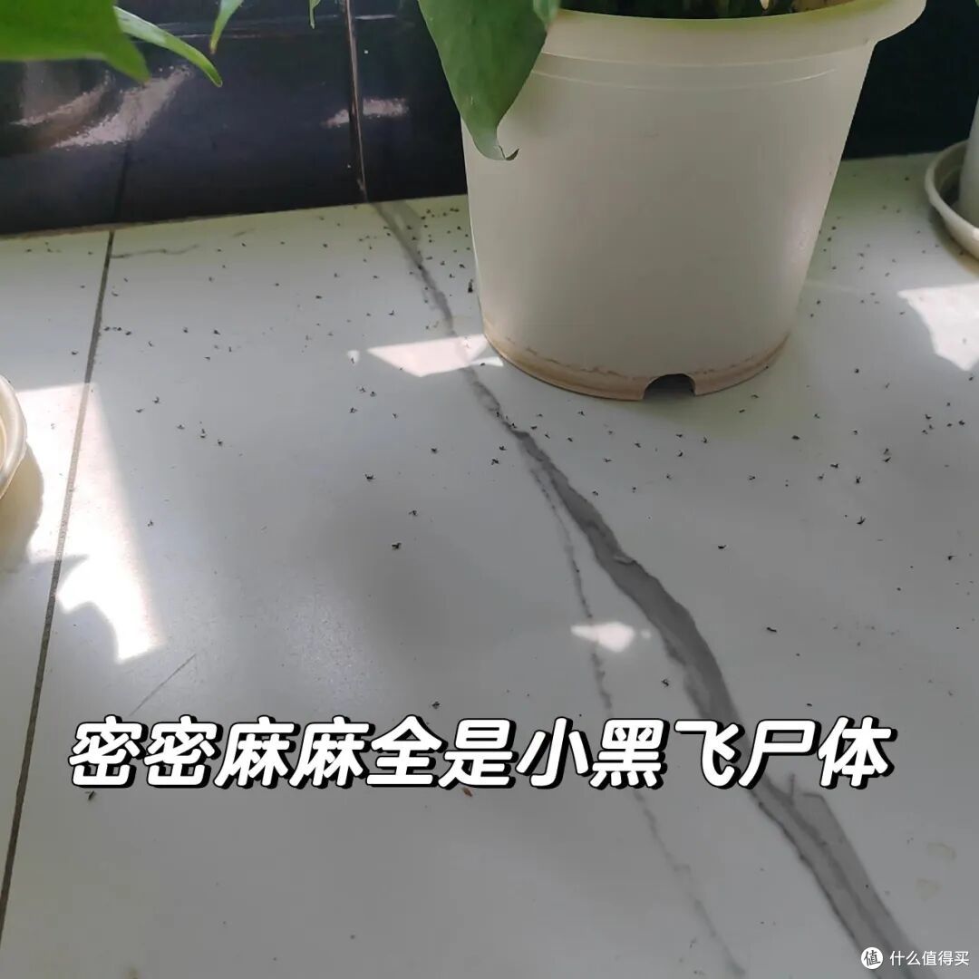 有一种痛苦叫阳台做了“开放式设计”!入住一年,全是生活痛点