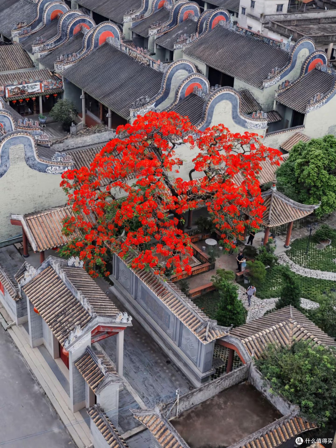 龙归春日漫步：古祠与初醒