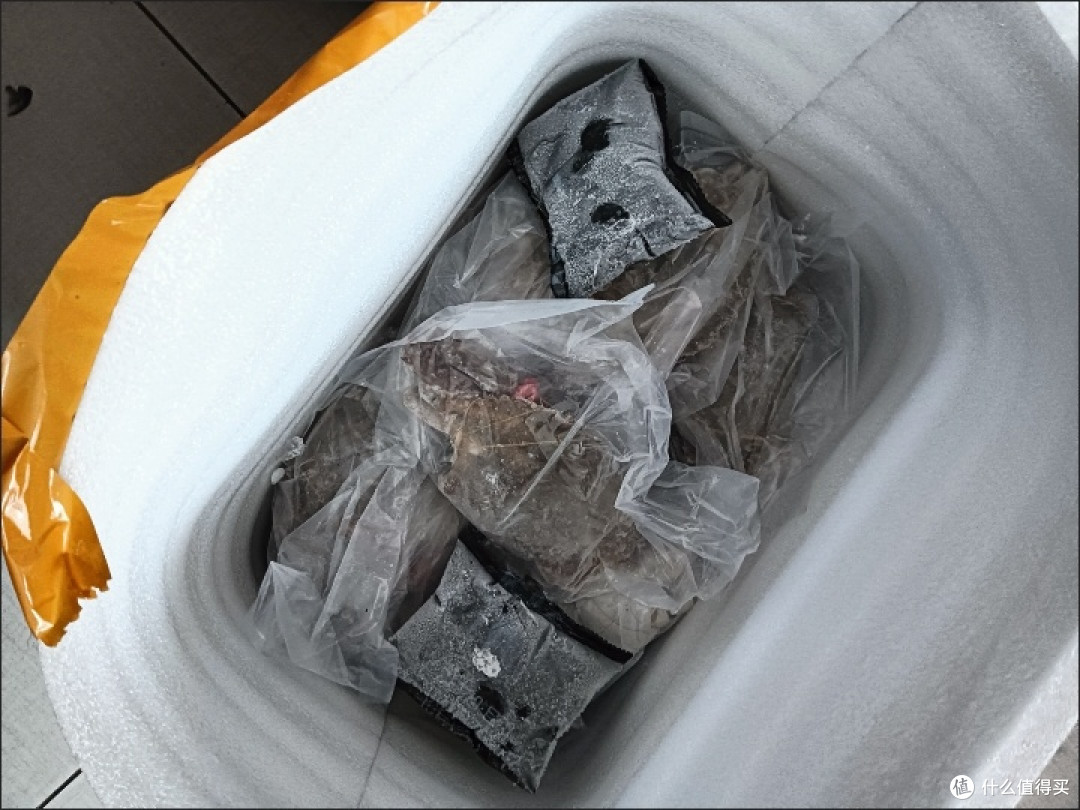 如何挑选新鲜海鲜?这些技巧让你轻松选到“鲜”货