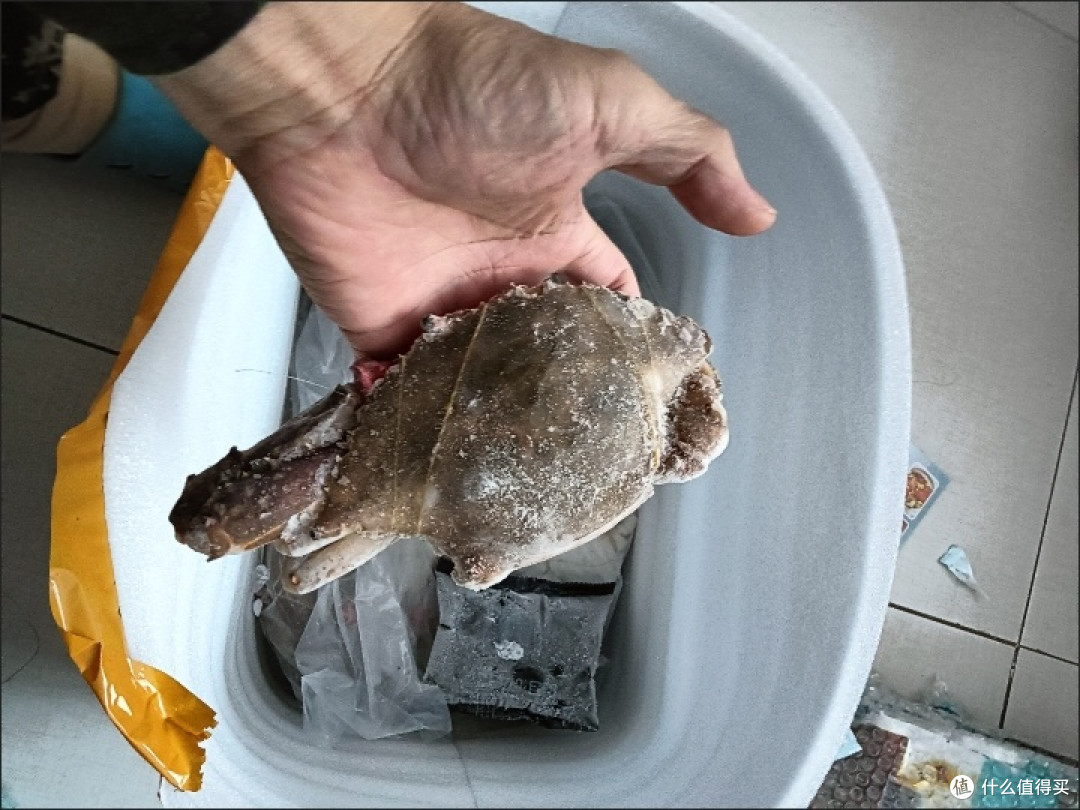 如何挑选新鲜海鲜?这些技巧让你轻松选到“鲜”货