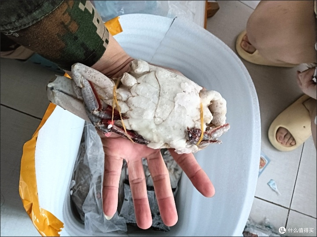 如何挑选新鲜海鲜?这些技巧让你轻松选到“鲜”货