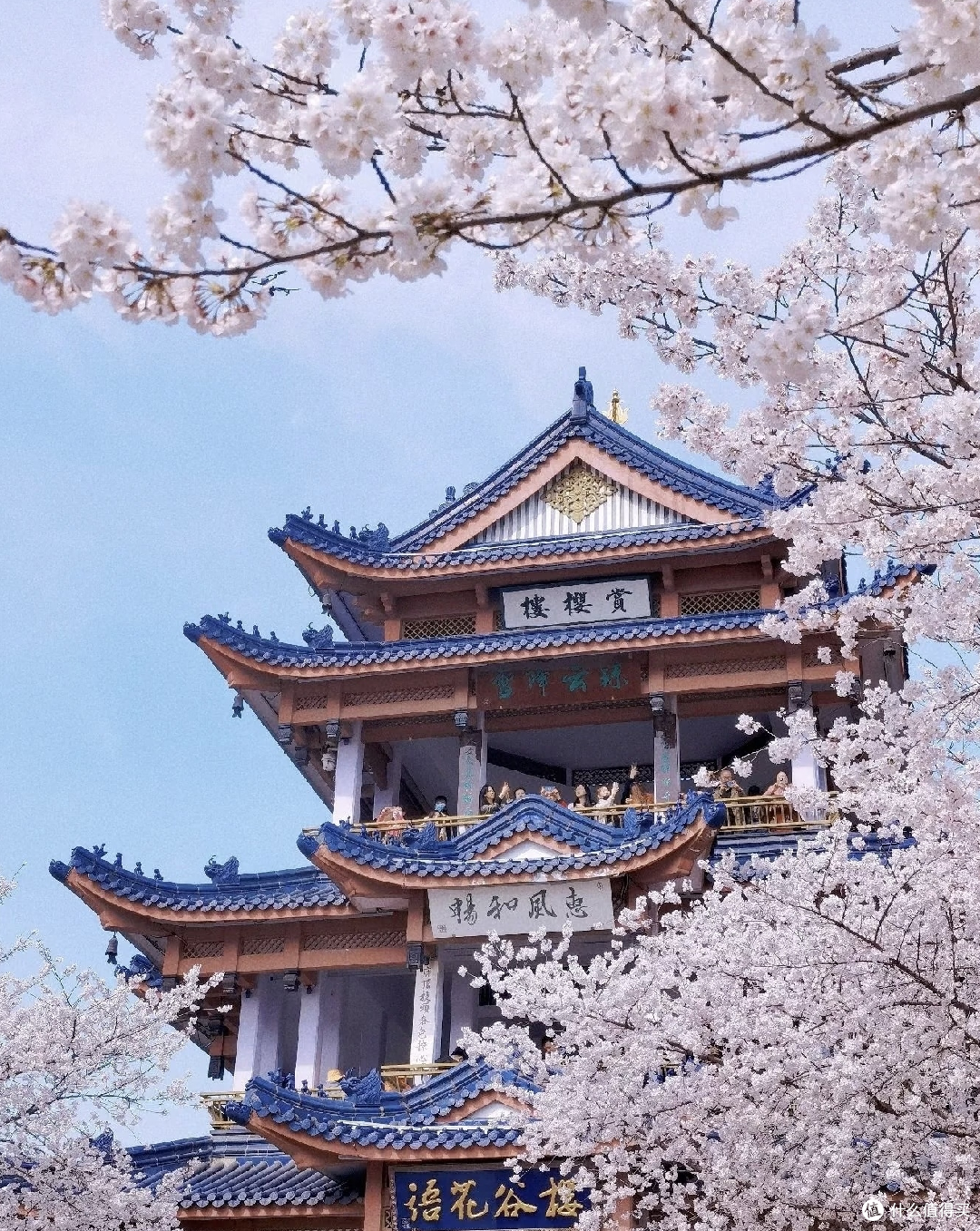 春日赏花攻略:无锡鼋头渚,一湖春水染绯云