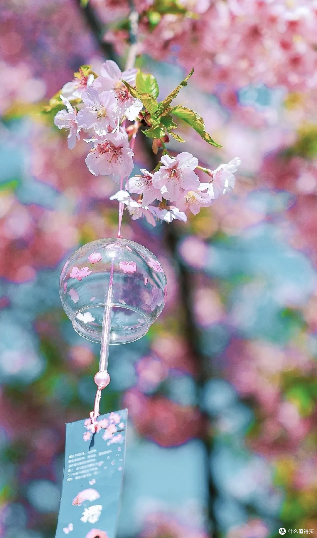 春日赏花攻略：无锡鼋头渚，一湖春水染绯云