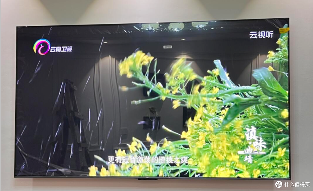 6000元预算封顶,75寸电视推荐2026年3月最新版,有且仅有这三款