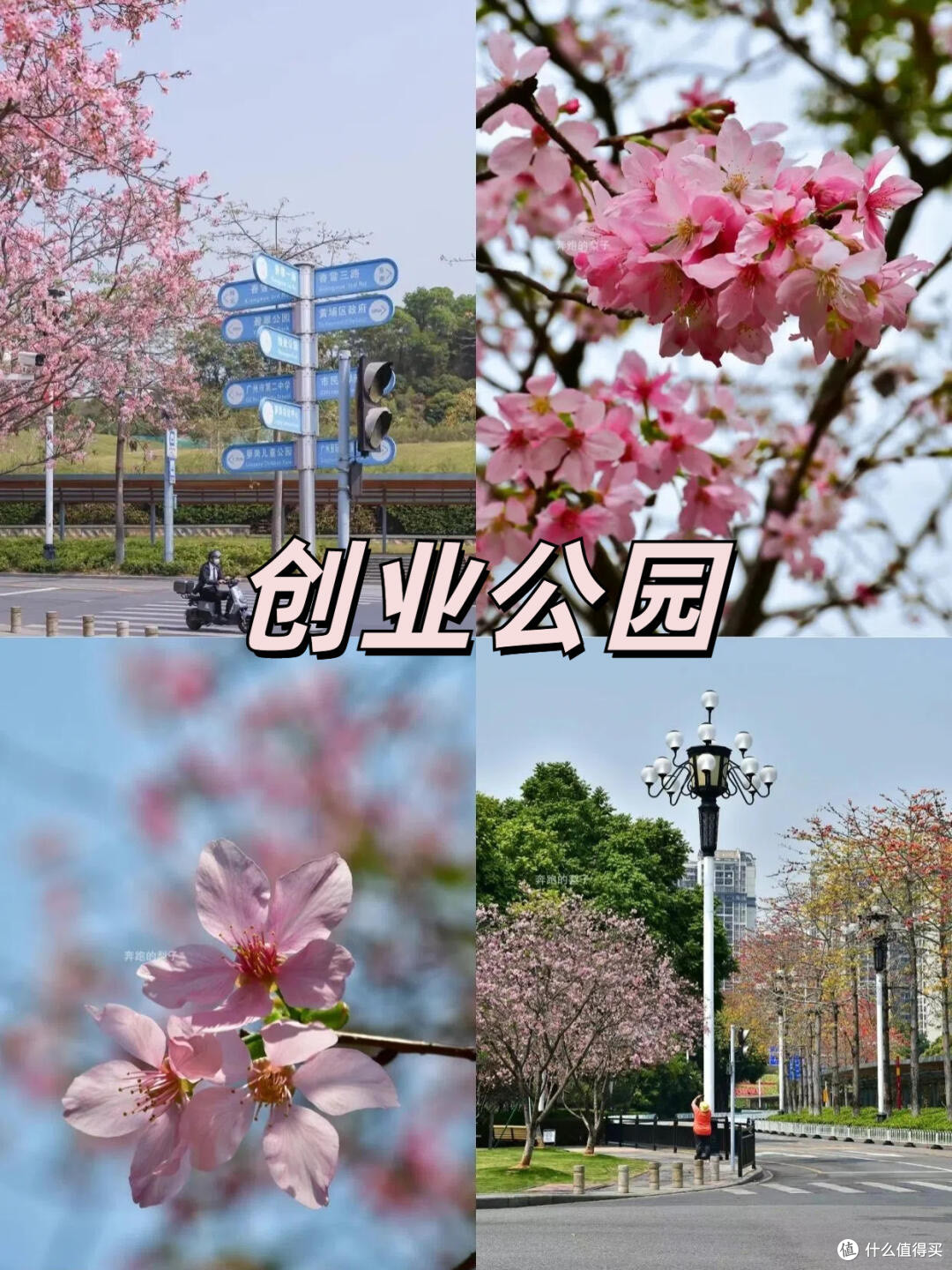 黄埔区春季游玩指南