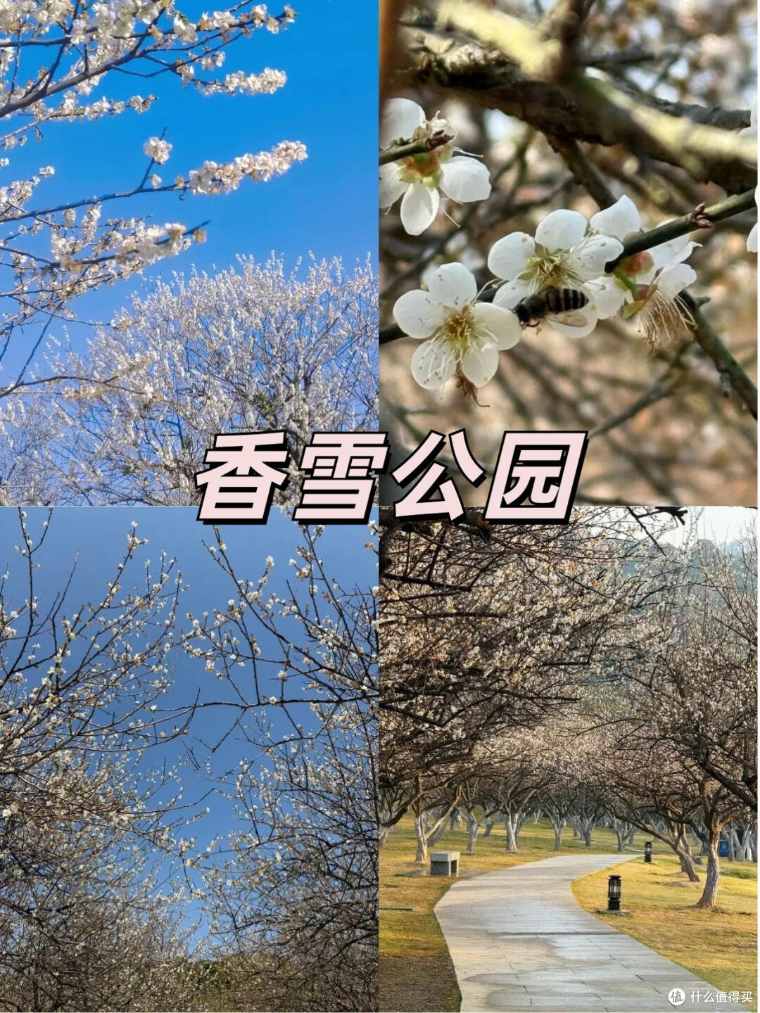 黄埔区春季游玩指南