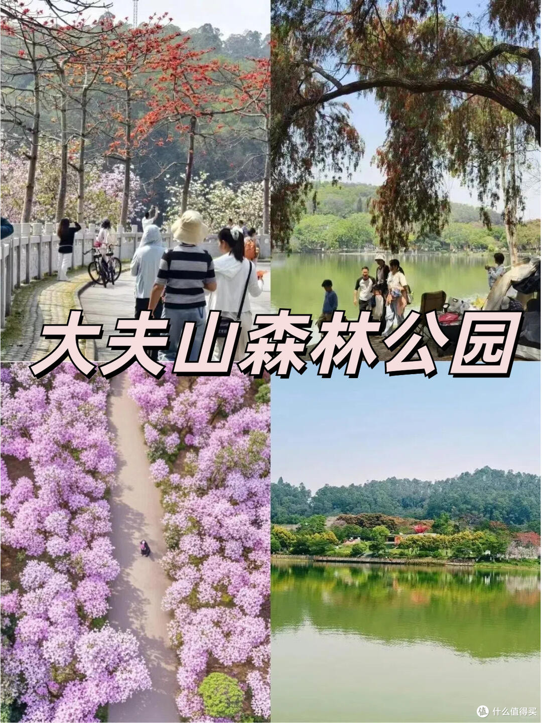 黄埔区春季游玩指南