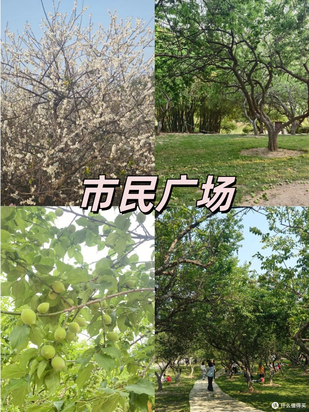 黄埔区春季游玩指南