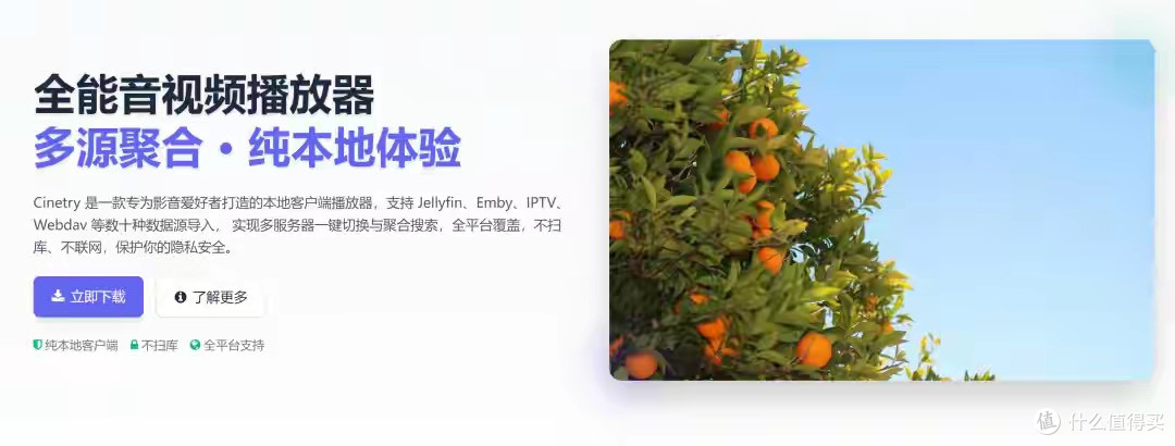 影音党狂喜!全能音视频播放器,多源聚合+纯本地,解锁极致体验