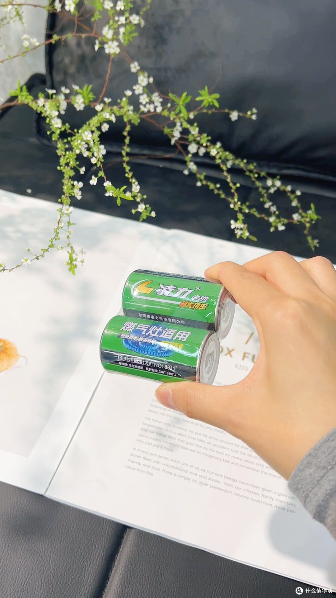 燃气灶电池，极速发货，让你的家电随时有电！