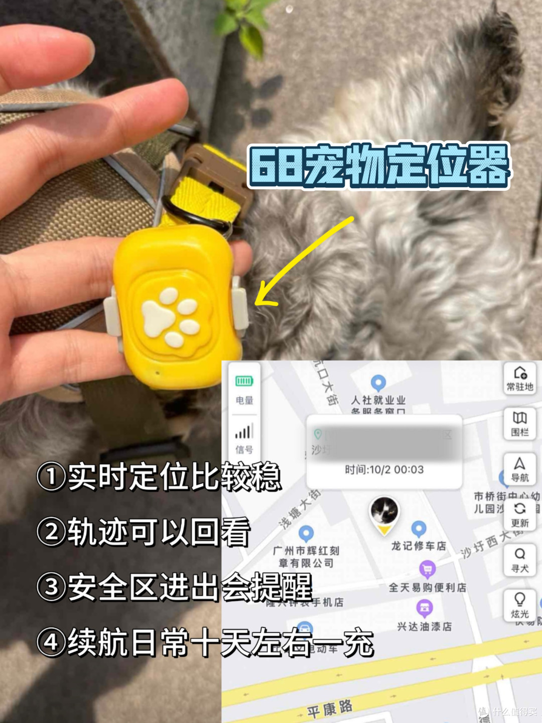 看看你的宠物定位器上榜了吗