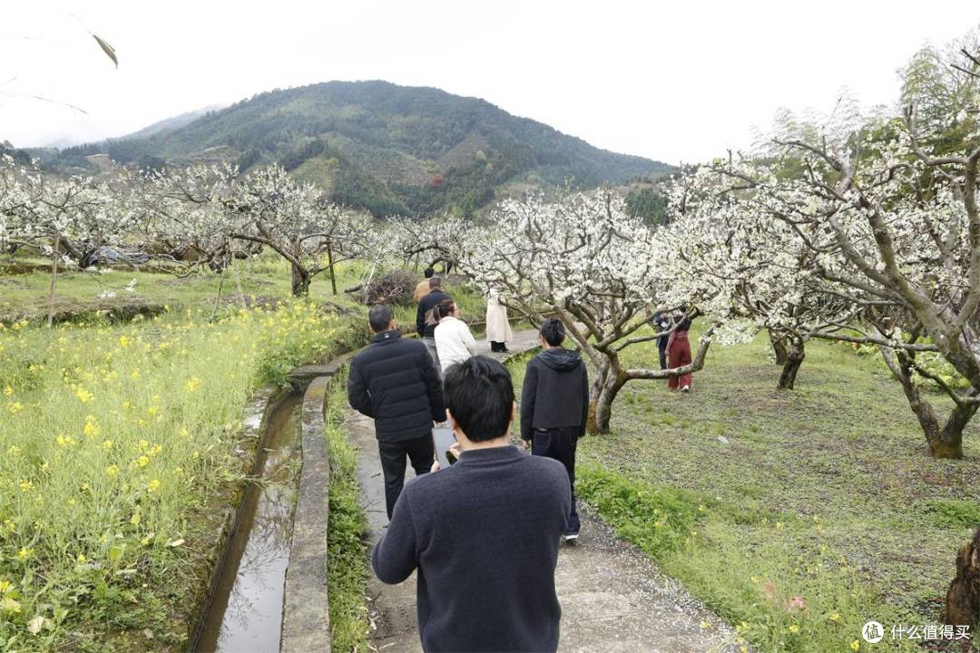 用好管,选材通!“3·15”品质之旅”:匠心解锁消费信任密码