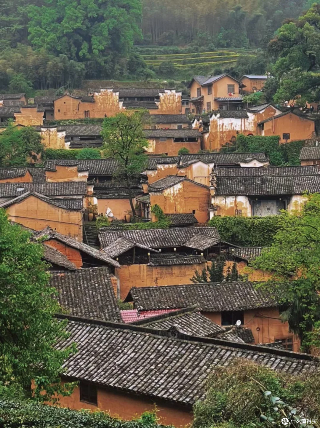 这个浙西秘境藏78个古村,800亩花海+10万负氧离子,90%人没去过
