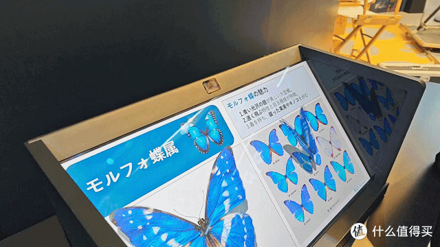 TCL/海信/索尼,今年带来了哪些电视新品?(AWE逛展分享)
