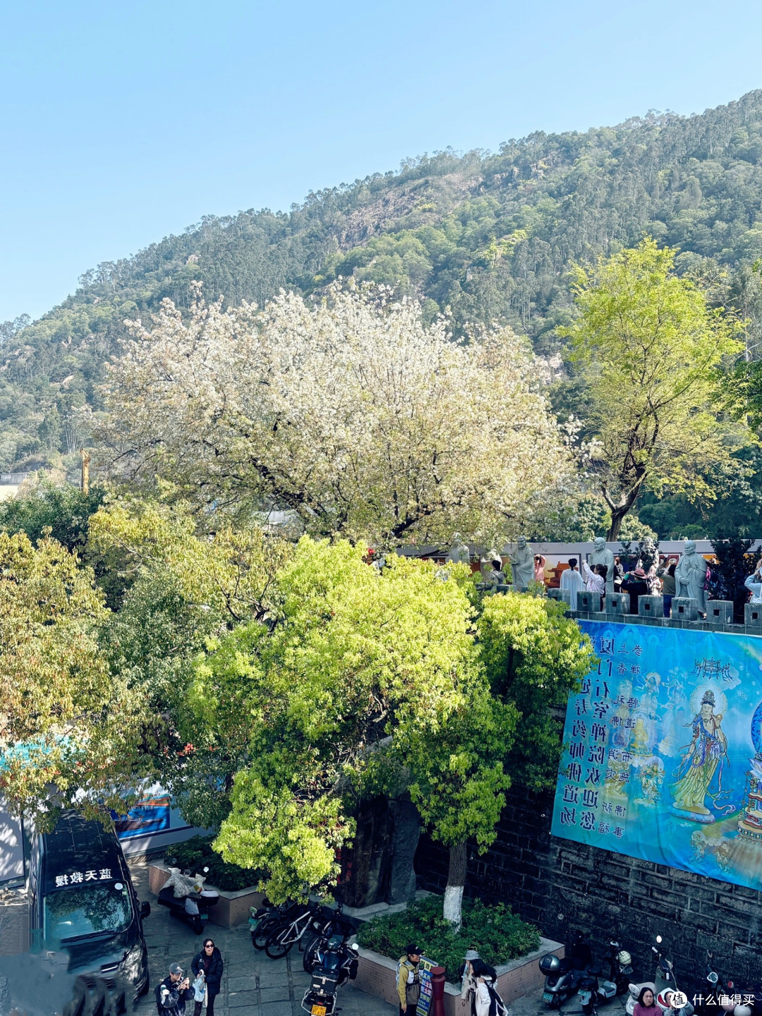 厦门找梨花开盲盒:石室禅院这3处,人少花密还出片