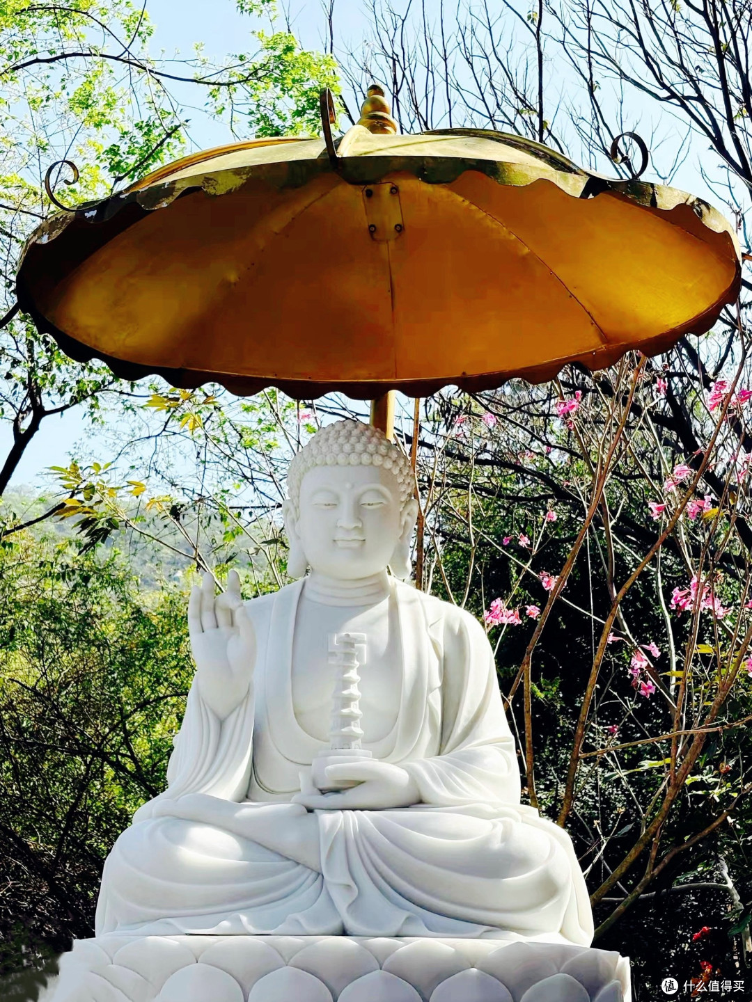 厦门找梨花开盲盒:石室禅院这3处,人少花密还出片