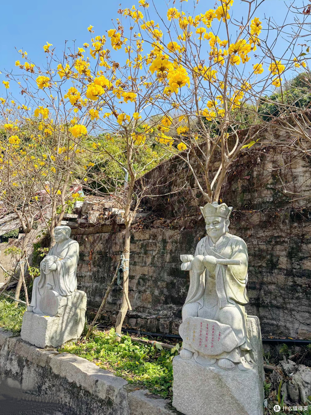 厦门找梨花开盲盒:石室禅院这3处,人少花密还出片
