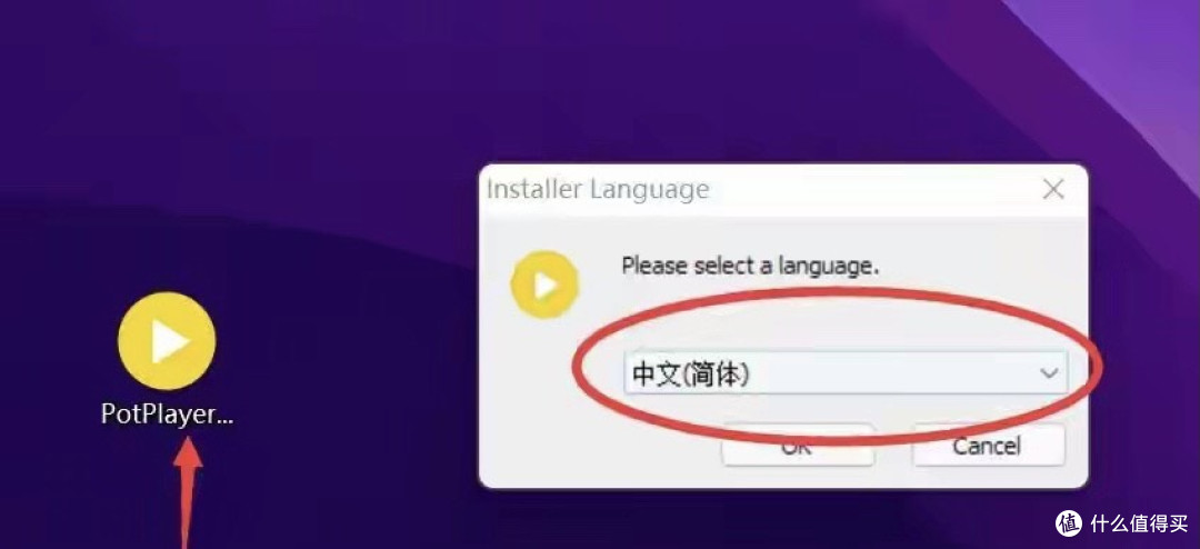 最强大的免费播放器！超顶内置解码器，实时字幕翻译，拿来吧你