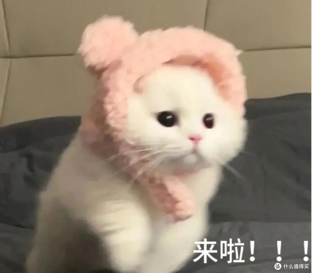 主食罐头什么牌子好一点?希喂白小罐真的有大家说得那么好吗?