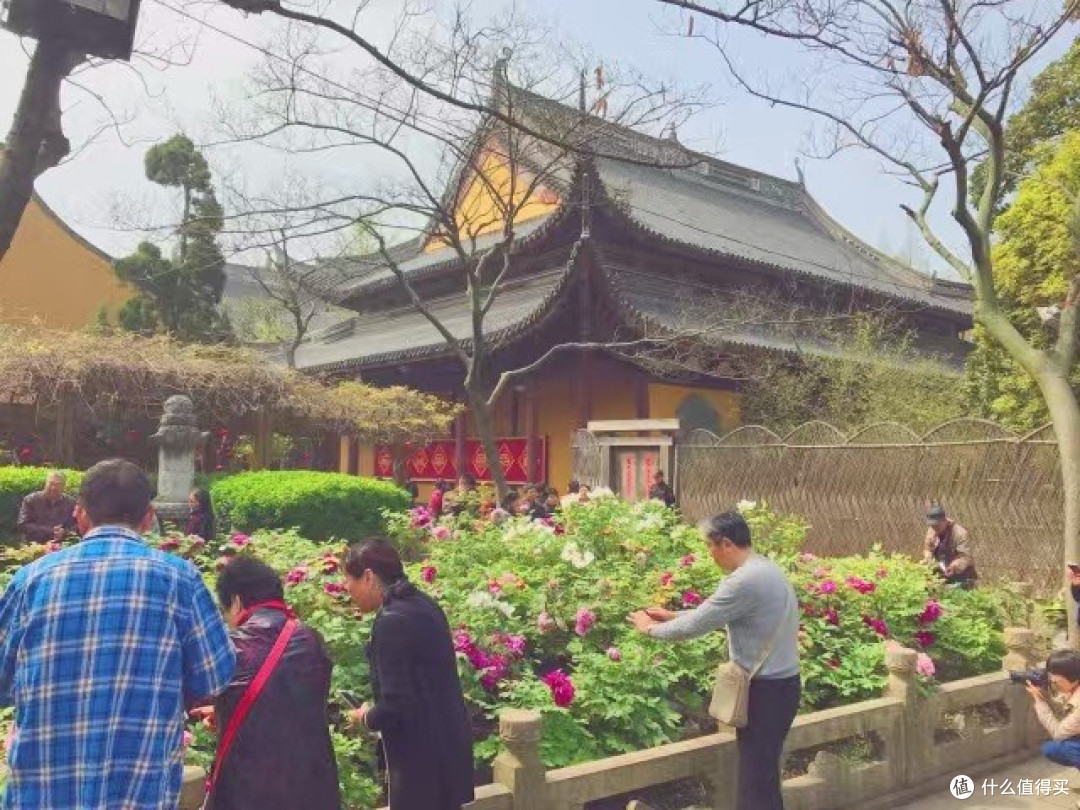 春日赏花，你选对地方了吗？