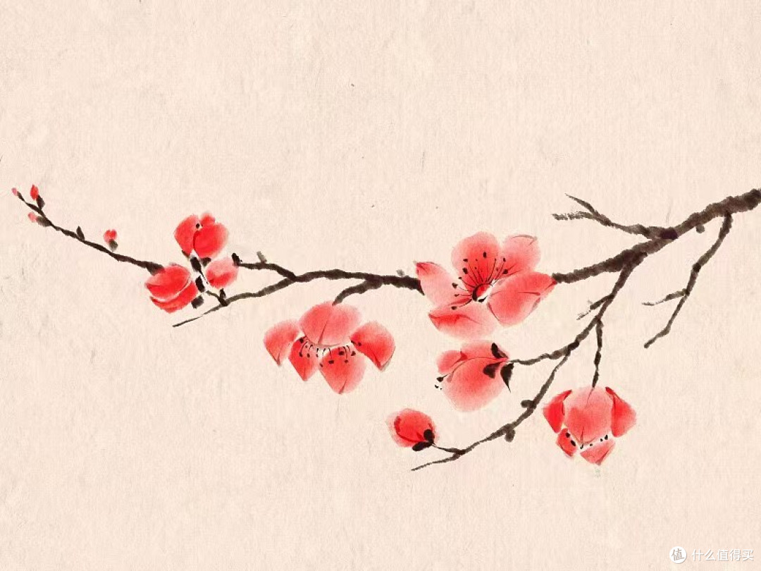 赏花，读懂中华千年文明？
