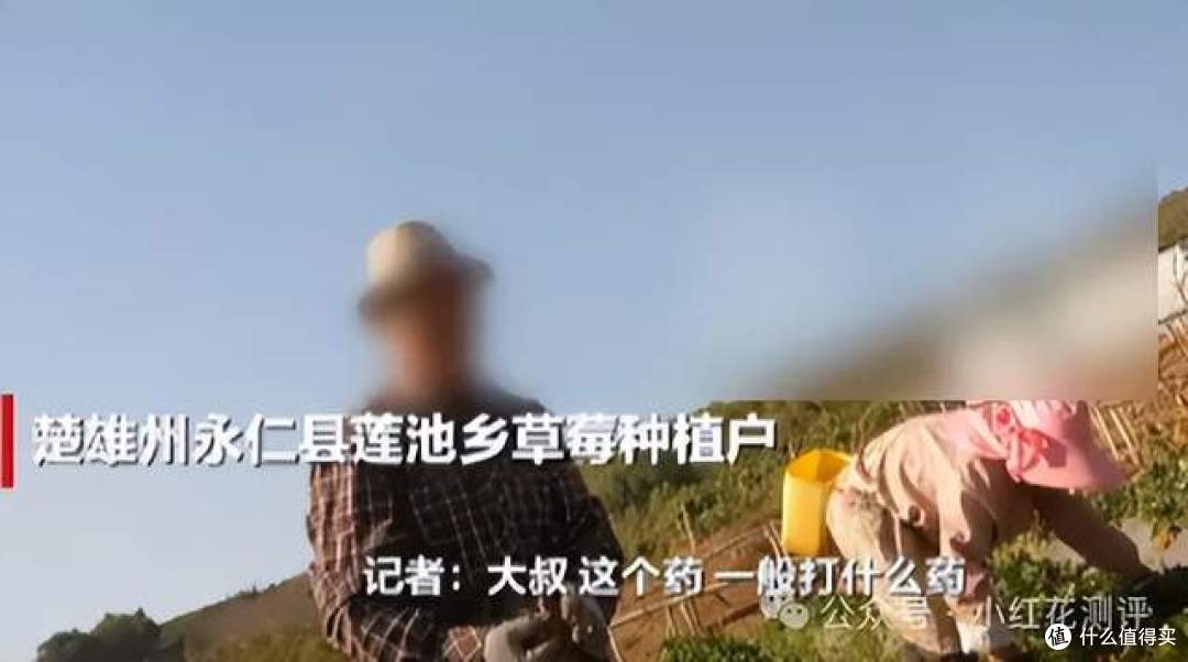 冻干草莓镉超标？！《新京报》核心证据错误！