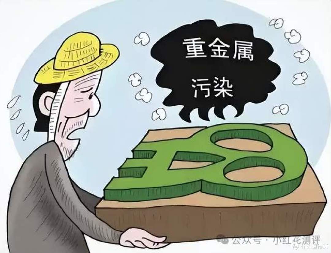 冻干草莓镉超标？！《新京报》核心证据错误！