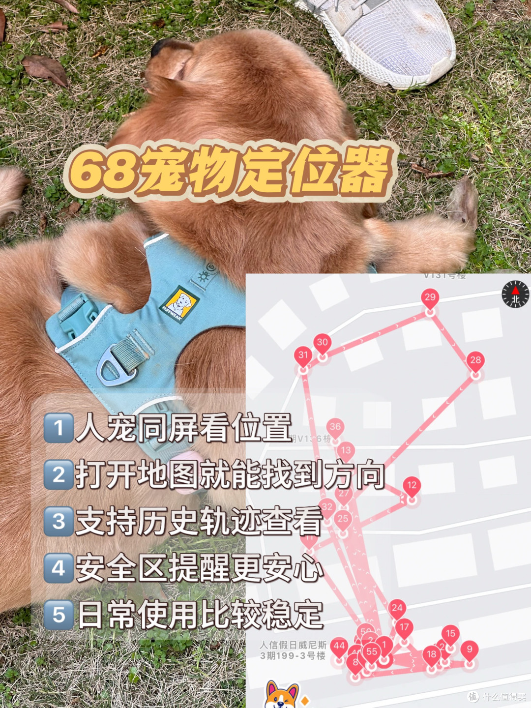 最近很火的宠物定位器必看榜
