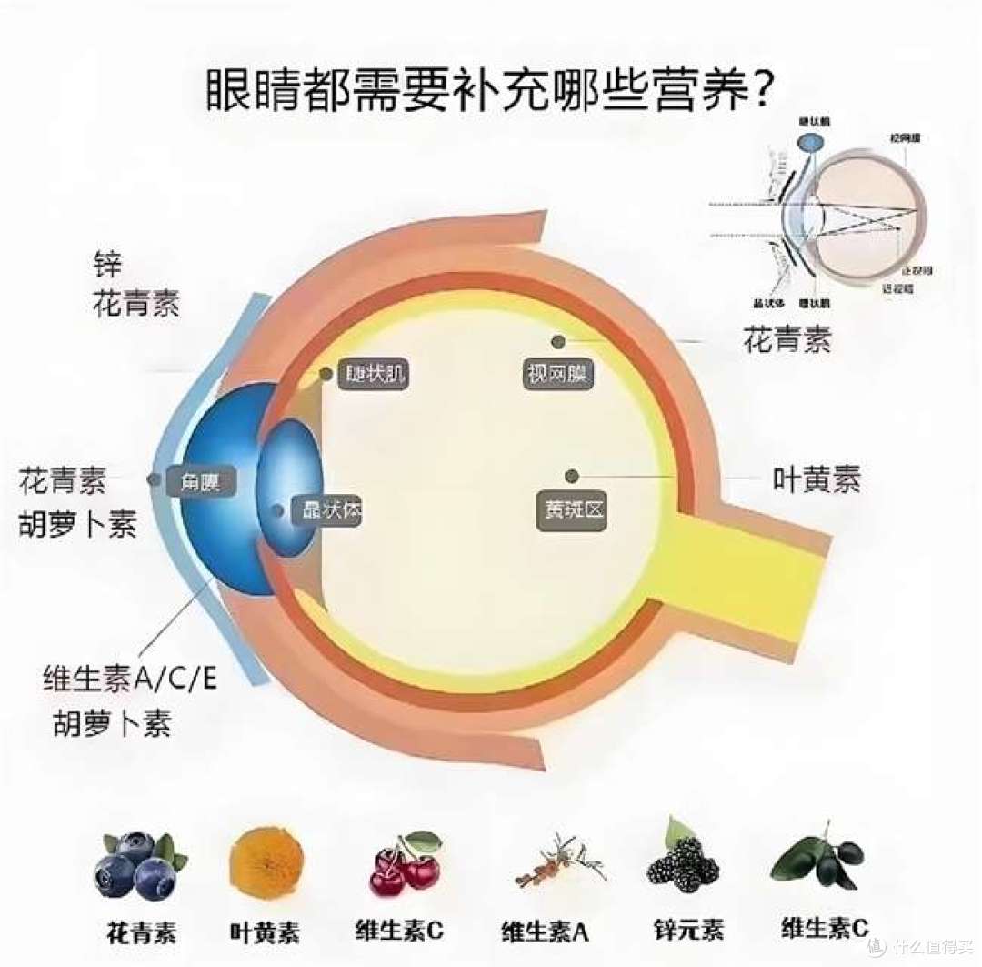 叶黄素优质款看这里？十大名牌叶黄素红榜，精选汇总