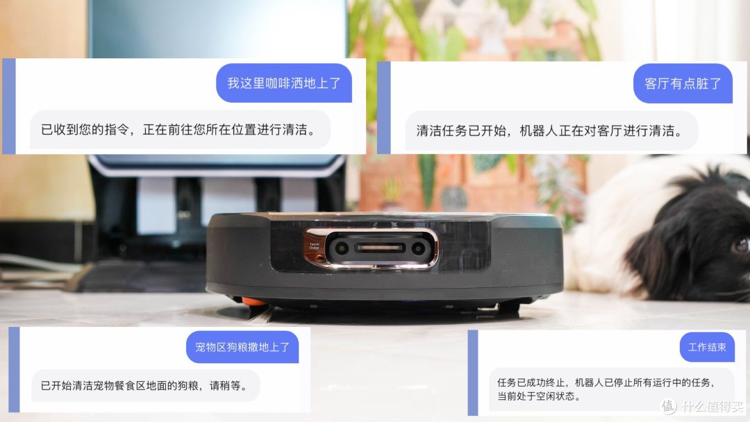 它比你更懂家!AI智能清洁策略 自主搞定全屋清洁 云鲸逍遥 003