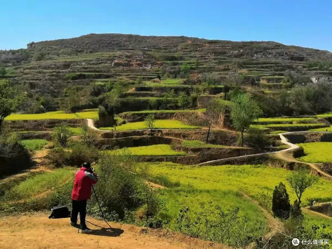新密乱石坡村：油菜花梯田盛景