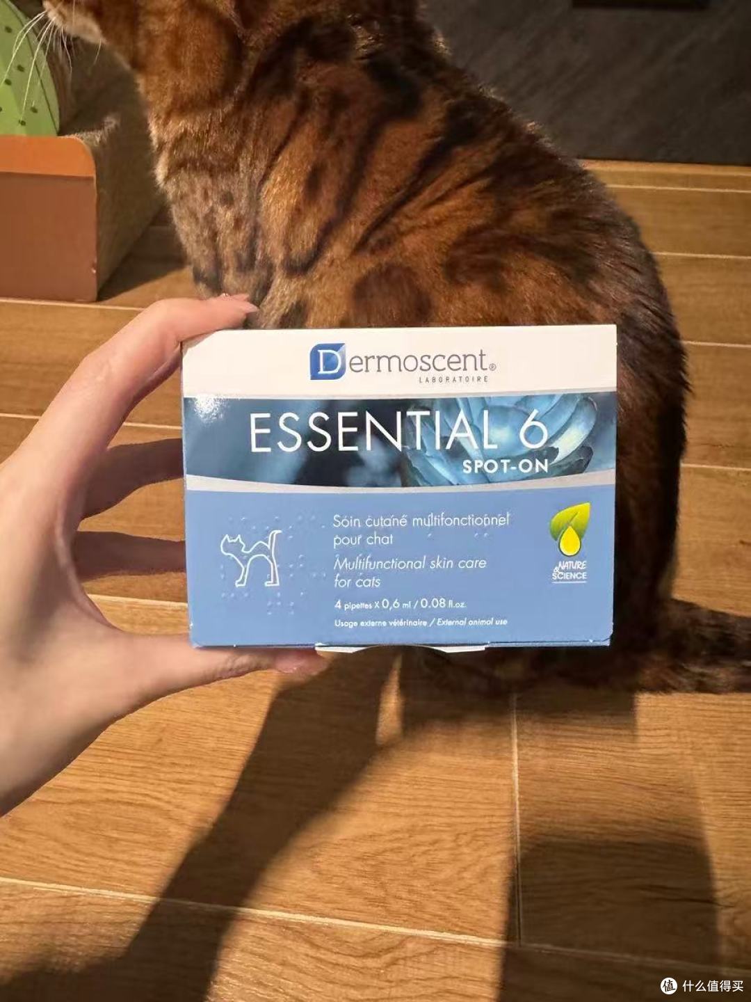 法国德美丝黄金点✨猫咪皮肤救星！毛发光滑到犯规