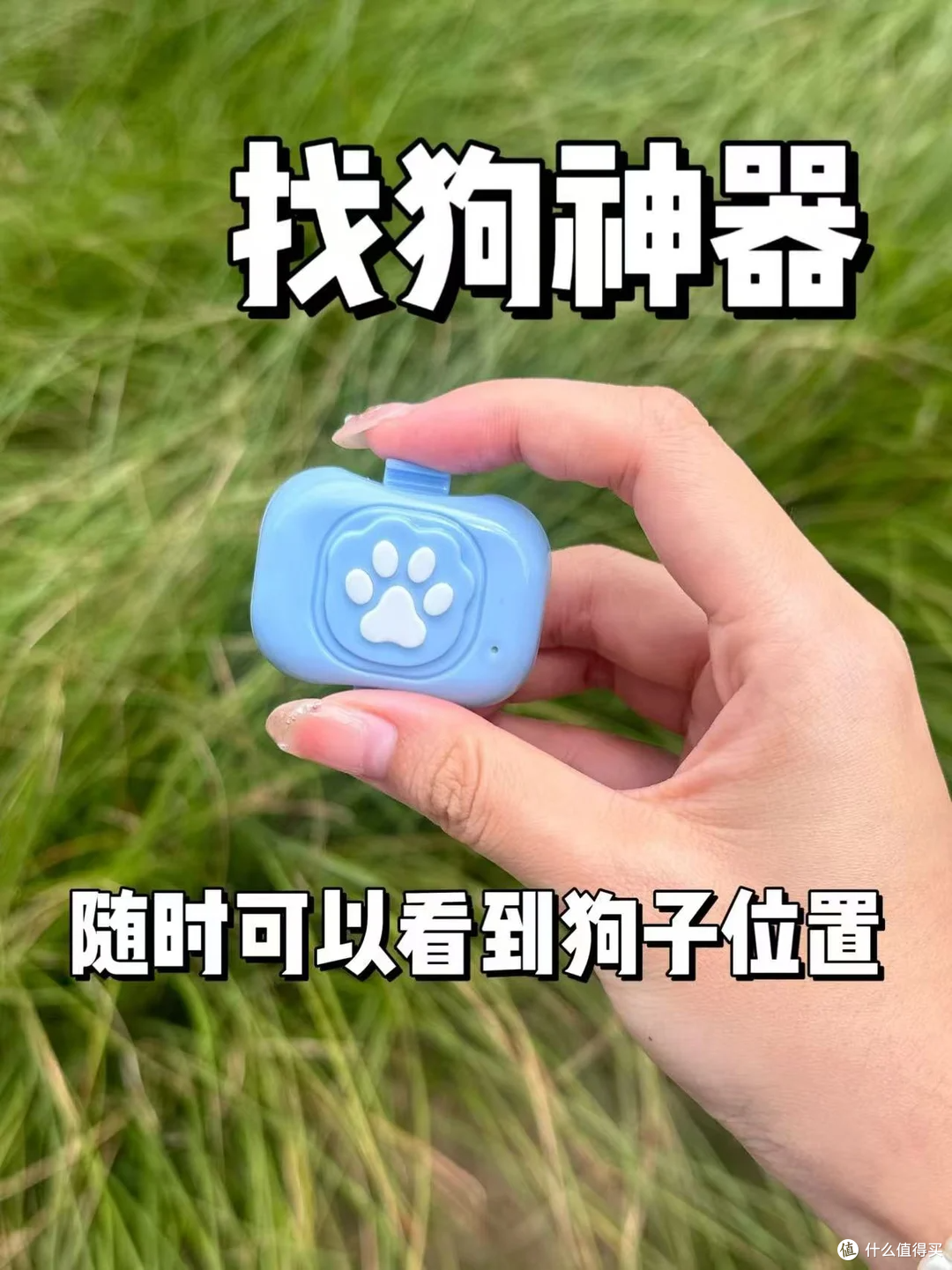 就在刚刚...找回了我跑到车库的狗狗
