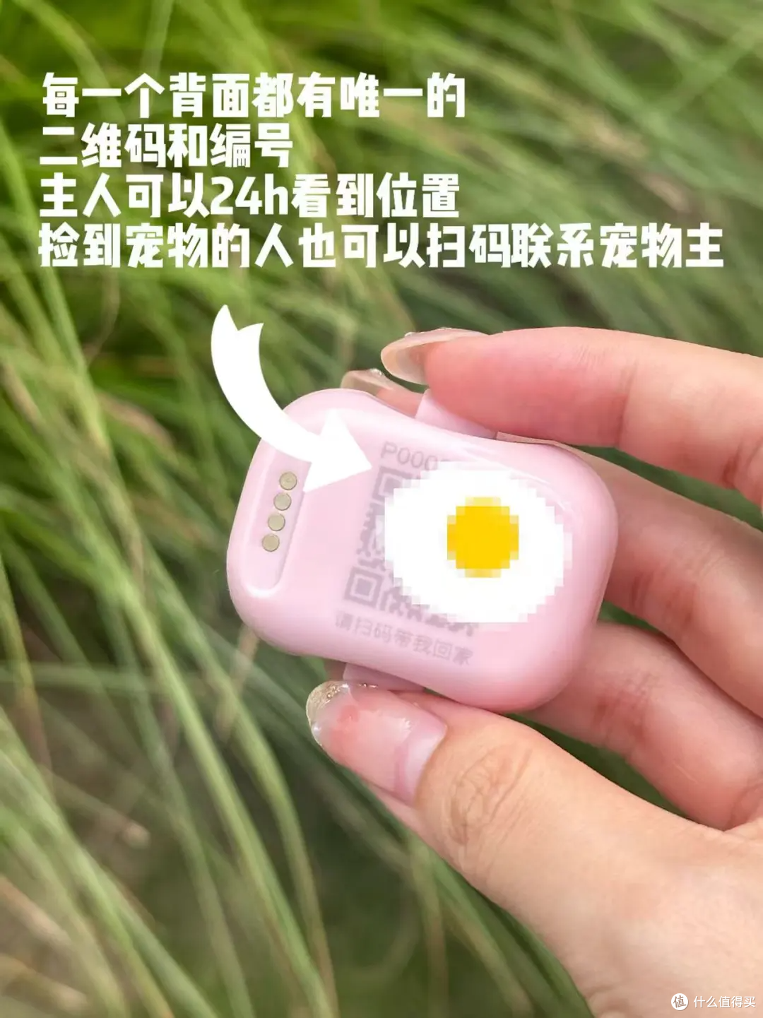 就在刚刚...找回了我跑到车库的狗狗