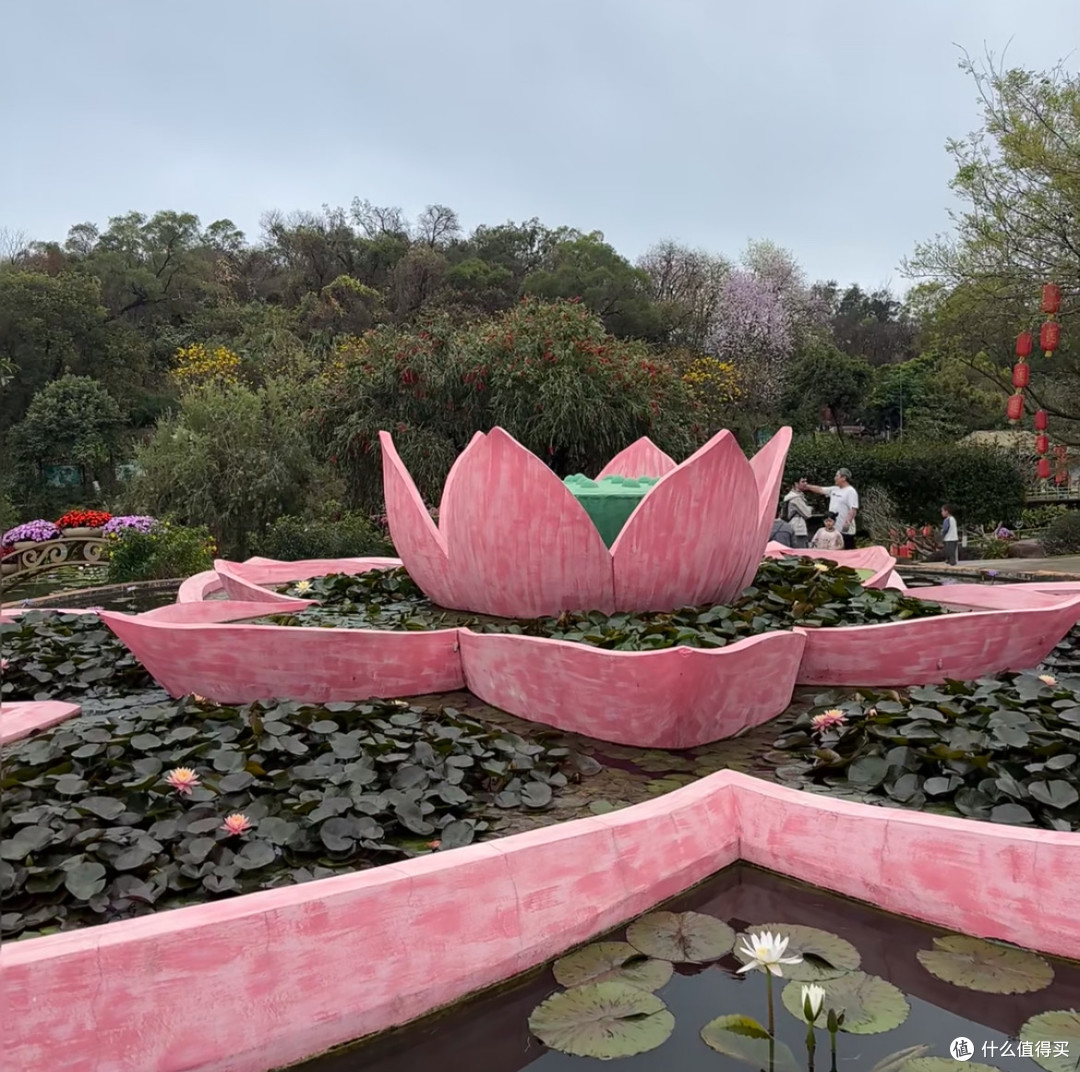 🌸广州三月,莲花山乱逛,那是一片花海啊