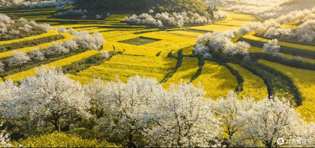 贵州3月赏花攻略