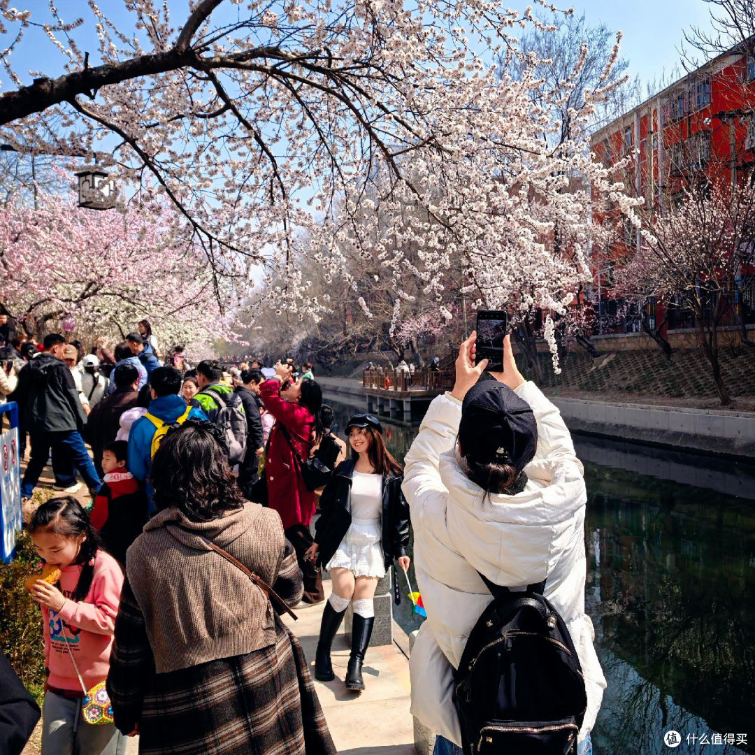 🌸北京这处“山桃花溪”，人多也能拍出空镜感！