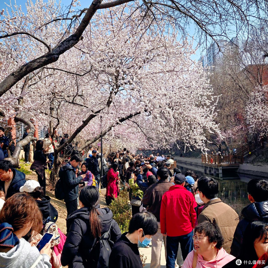 🌸北京这处“山桃花溪”，人多也能拍出空镜感！