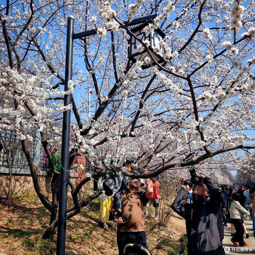 🌸北京这处“山桃花溪”，人多也能拍出空镜感！