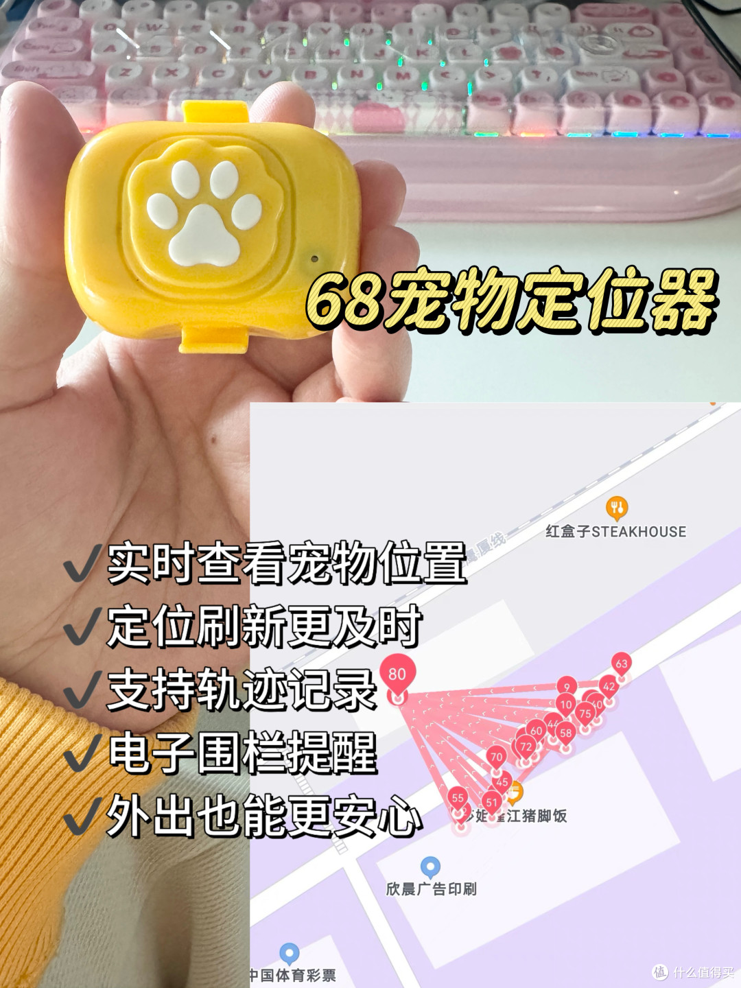 火爆宠物定位器最真实测评！