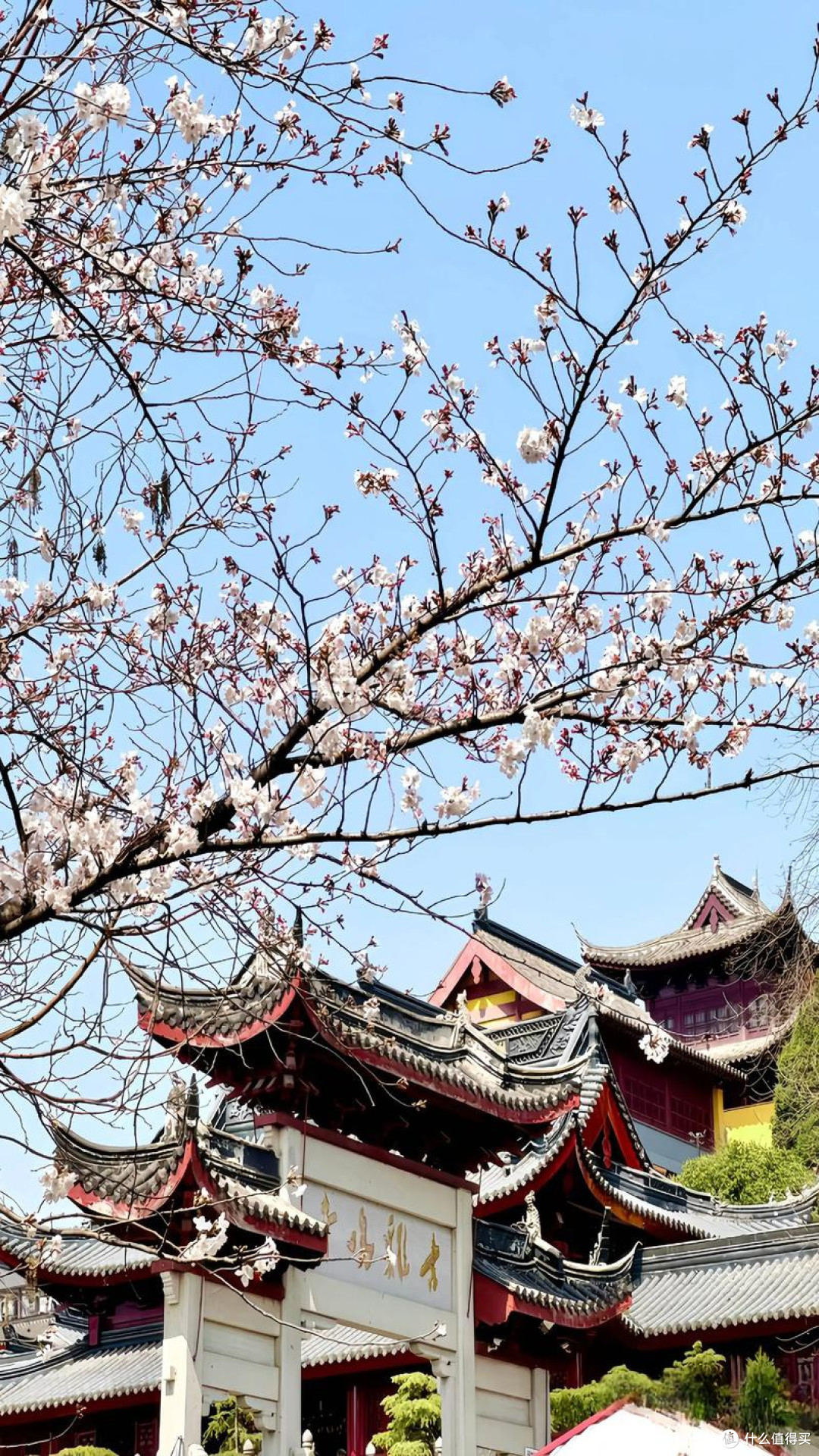 春日游玩必去江苏南京 赏花逛古都全攻略