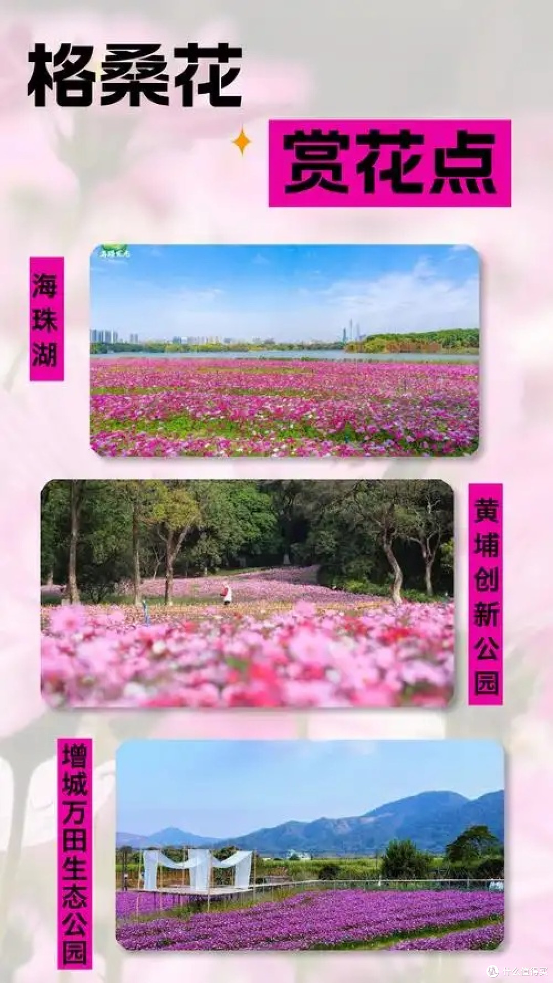 广州春景：墙隅到郊野的色彩之旅