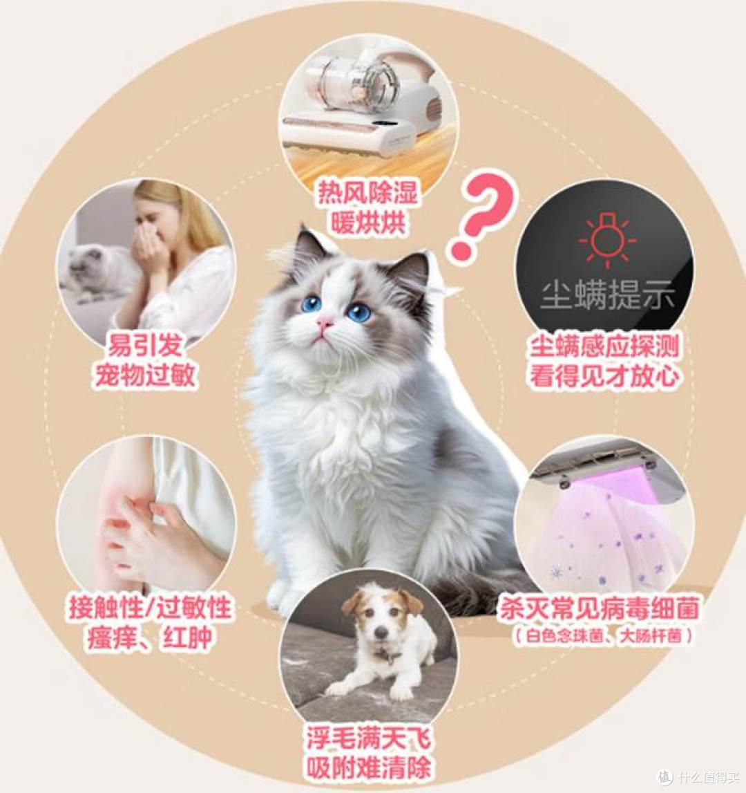 2026年除螨仪选购必看!8年行家专业解析+11款热门除螨仪实测