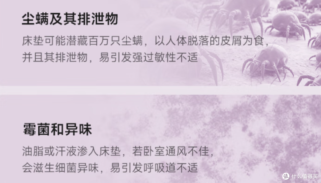 除螨仪2026选购终极指南:实测10款热门机型,深度拆解横向对比