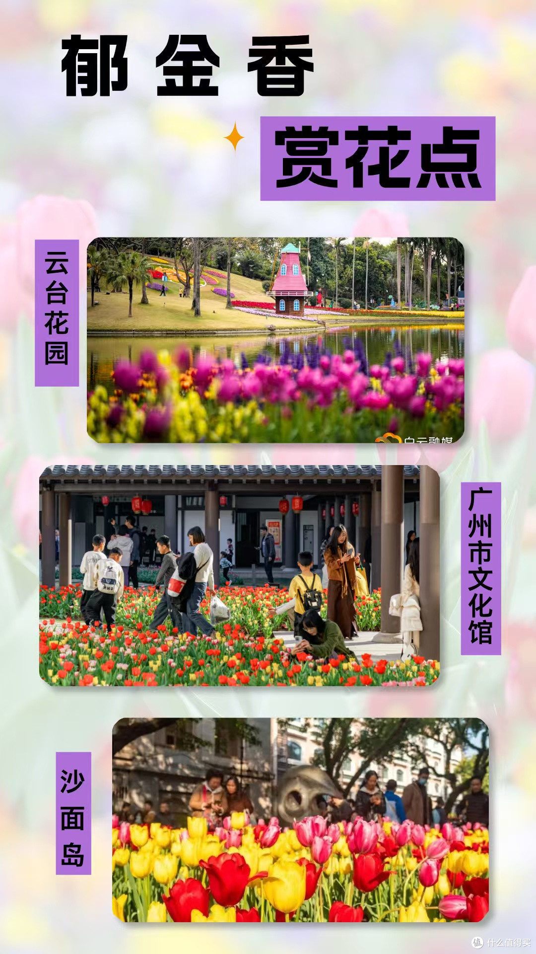 广州春日花海盛景