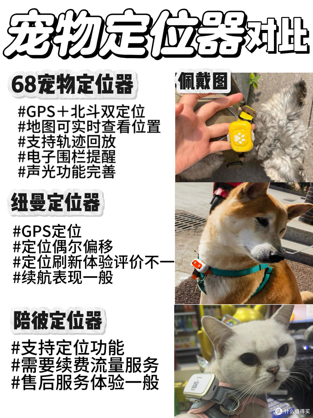 2026必看的宠物定位器排行