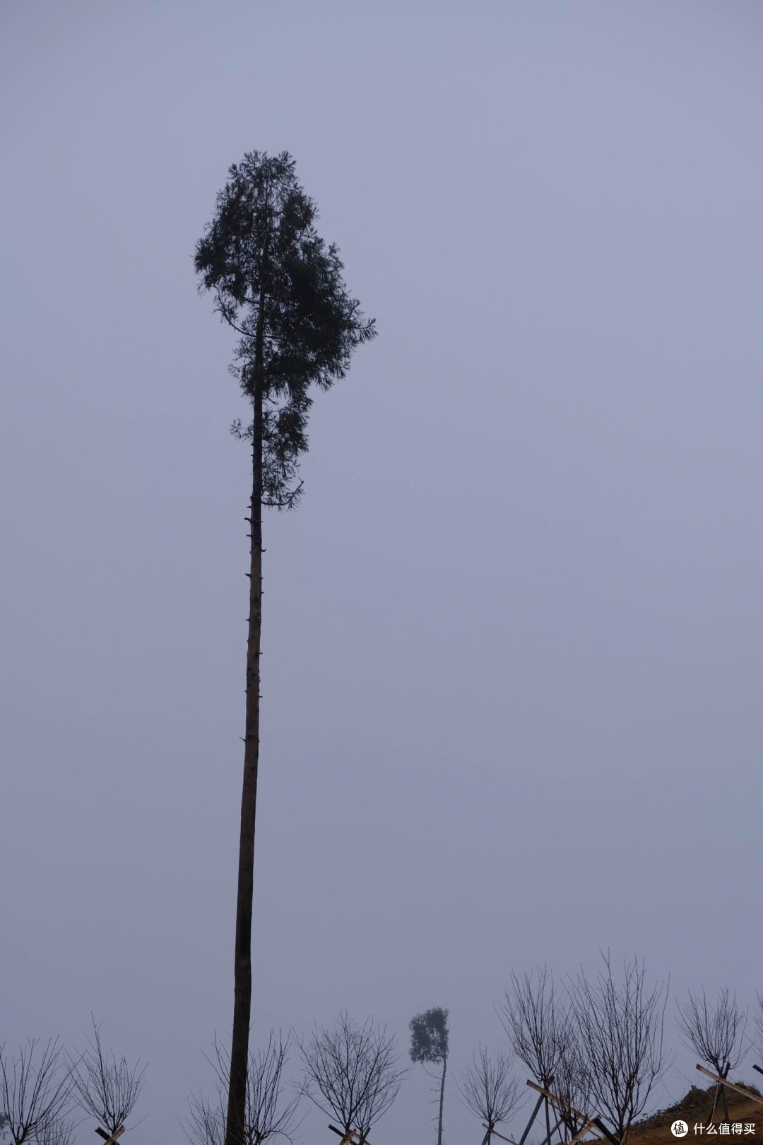 打卡,与山对谈的仪式